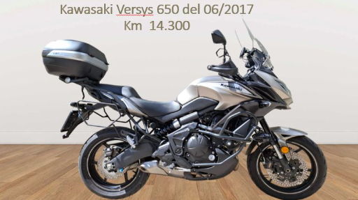 Kawasaki Versys 650